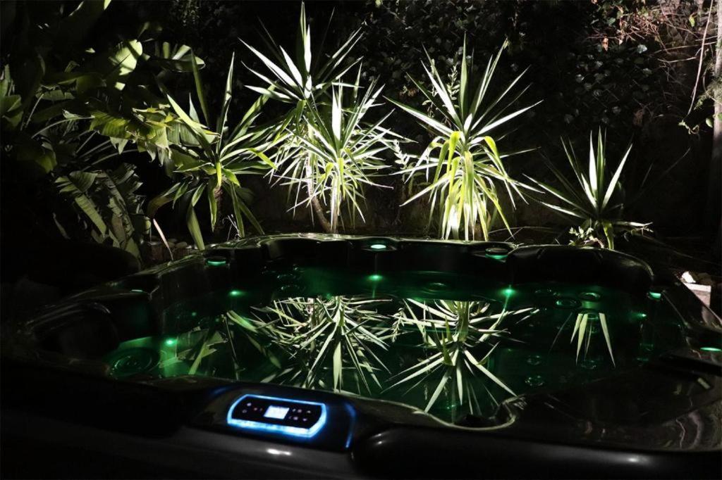 Luxury Jacuzzi Home & Terraces Malaga Bagian luar foto